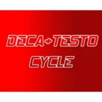 Deca - Testo Steroid Cycle